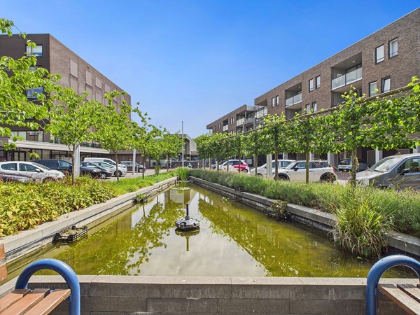 Medium property photo - Alberdingk Thijmstraat 45, 4532 CZ Terneuzen
